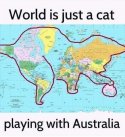 World Cat.jpeg