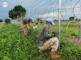 12th Chinese Peacekeepers South Sudan 002 600pixel.png