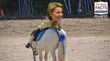 EU democracy : One horse wins one horse race